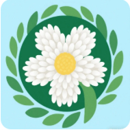 米粒花